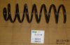 VW 1H5511115A Coil Spring